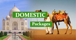 DOMESTIC-1 All India tour packages